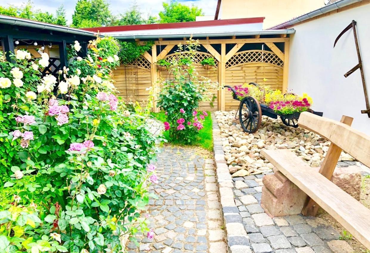 Ferienwohnungen Grimma 4 Екстериор снимка